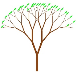 Tree.JPG